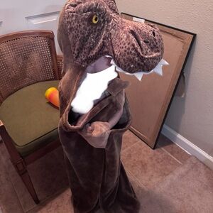 Brown Dinosaur Costume for Kids